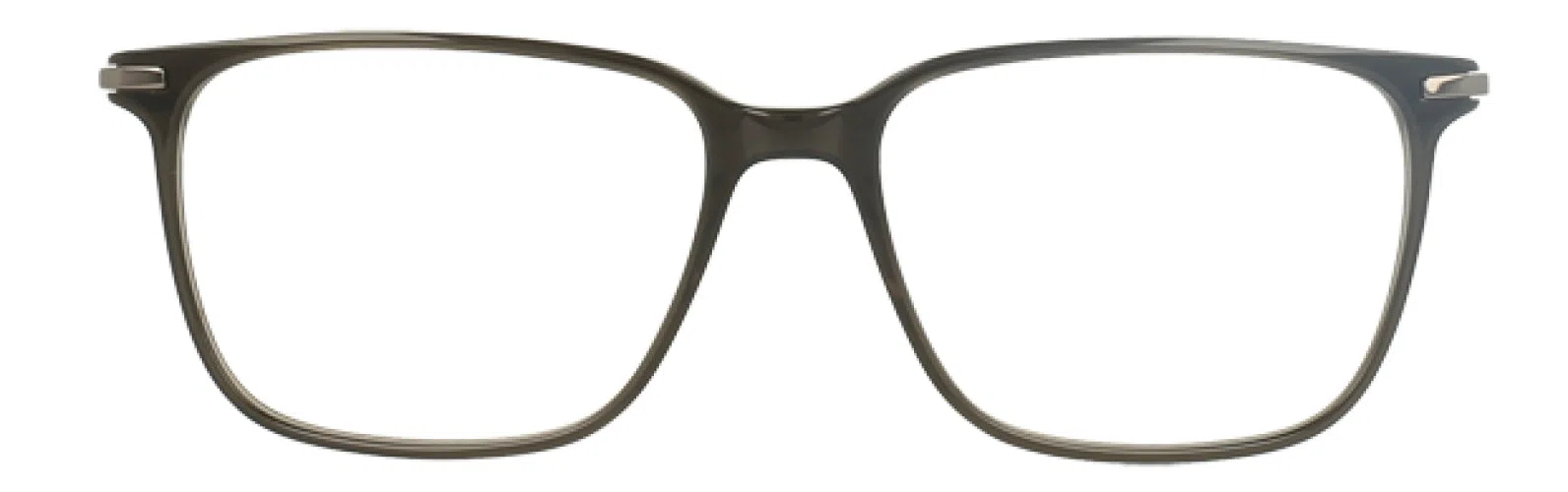 Argyleculture ARBRIDGER Eyeglasses - view 6